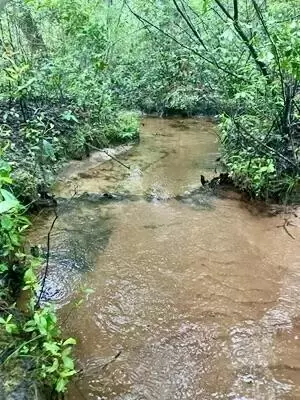 lot1 Three Notch Rd, Monetta, SC 29105 photo 4