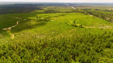 lot1 Three Notch Rd, Monetta, SC 29105 photo 12