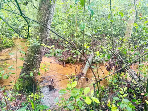 lot1 Three Notch Rd, Monetta, SC 29105 photo 3