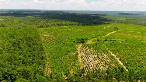 lot1 Three Notch Rd, Monetta, SC 29105 photo 5