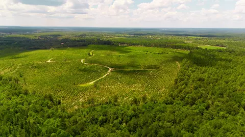 lot1 Three Notch Rd, Monetta, SC 29105 photo 10