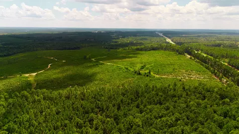lot1 Three Notch Rd, Monetta, SC 29105 photo 11