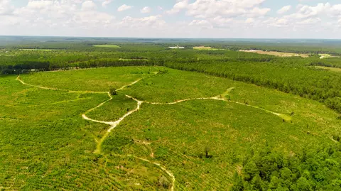 lot1 Three Notch Rd, Monetta, SC 29105 photo 8