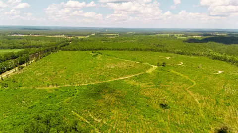 lot1 Three Notch Rd, Monetta, SC 29105 photo 7