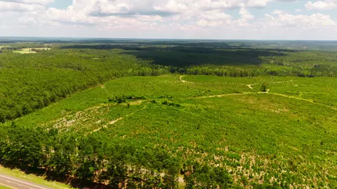 lot1 Three Notch Rd, Monetta, SC 29105 photo 6