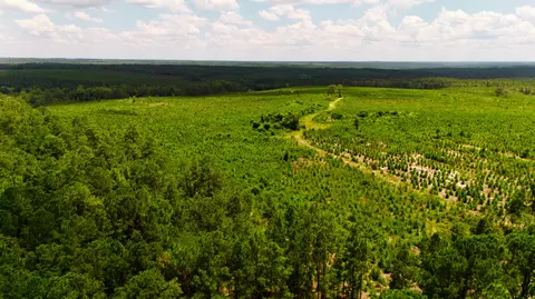 lot1 Three Notch Rd, Monetta, SC 29105 photo 13