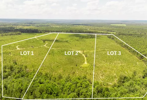lot2 Three Notch Rd, Monetta, SC 29105