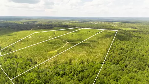 lot3 Three Notch Rd, Monetta, SC 29105