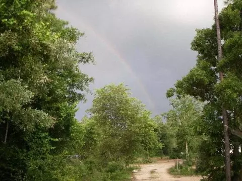 lot A-1 Pottery Mill Dr, Trenton, SC 29847
