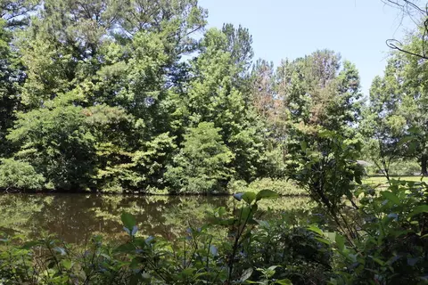 lot A Camp Creek Dr, Lancaster, SC 29720 photo 2