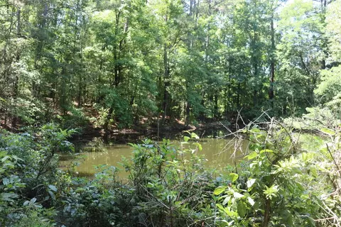 lot A Camp Creek Dr, Lancaster, SC 29720 photo 12