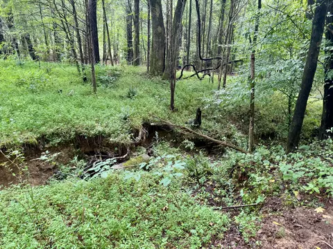 lot A Camp Creek Dr, Lancaster, SC 29720 photo 7