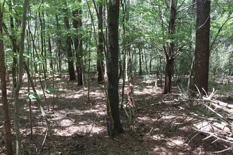 lot A Camp Creek Dr, Lancaster, SC 29720 photo 13
