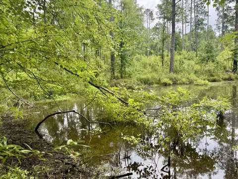 lot E Camp Creek Rd, Lancaster, SC 29720