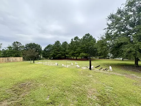326 Chippewa Trl, Leesville, SC 29070 photo 28
