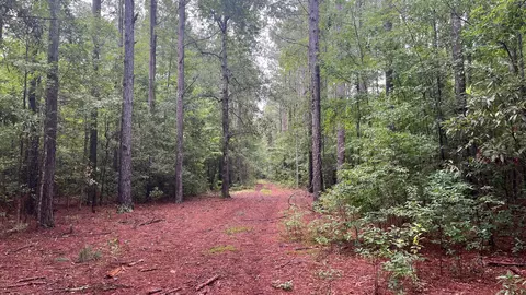tbd Guinyard Blvd, Springfield, SC 29146 photo 4