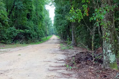 tbd Guinyard Blvd, Springfield, SC 29146 photo 20