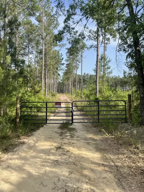lot7 White Pond Rd, Williston, SC 29853