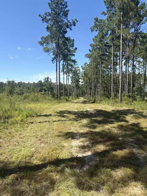 lot7 White Pond Rd, Williston, SC 29853 photo 4
