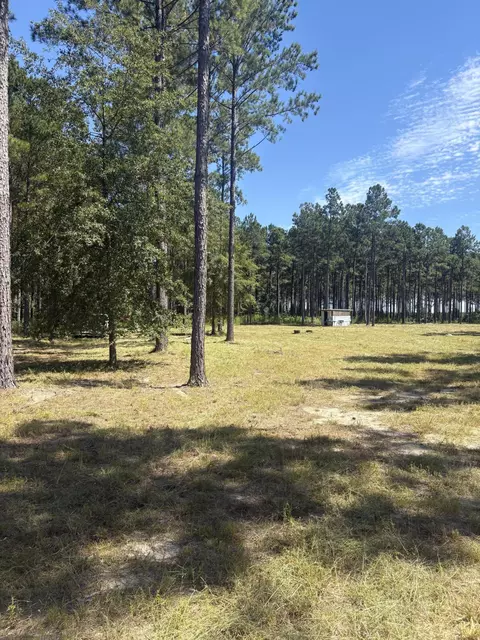 lot7 White Pond Rd, Williston, SC 29853 photo 3