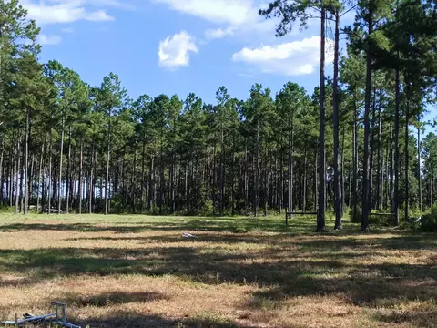 lot7 White Pond Rd, Williston, SC 29853 photo 2