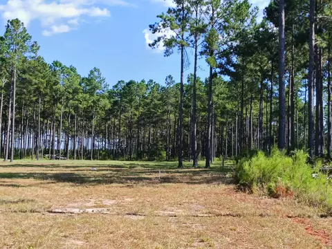 lot7 White Pond Rd, Williston, SC 29853 photo 6
