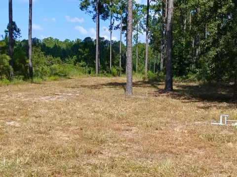 lot7 White Pond Rd, Williston, SC 29853 photo 5