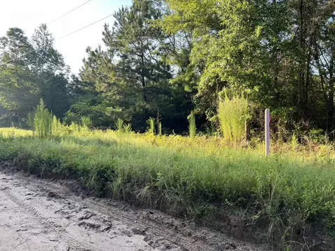 0 Archie Ware Rd, Trenton, SC 29847