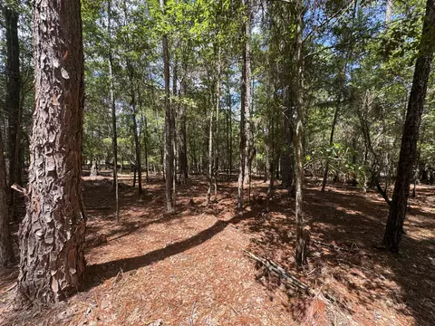 5 Tinker Creek Rd # A, Williston, SC 29853 photo 3