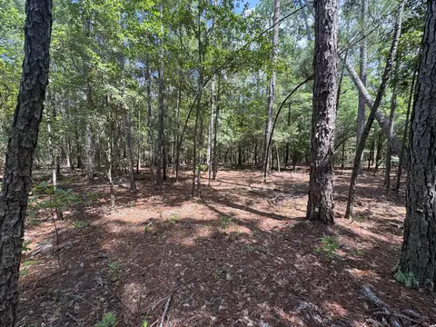 5 Tinker Creek Rd # B, Williston, SC 29853 photo 2