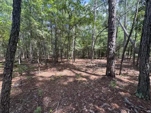 5 Tinker Creek Rd # B, Williston, SC 29853