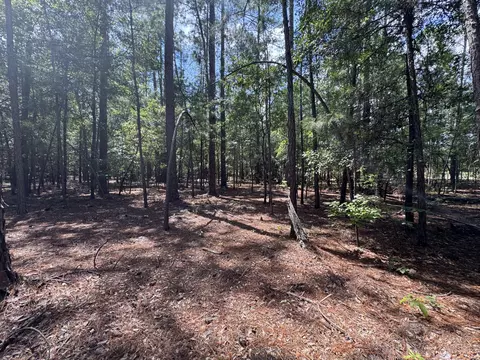 5 Tinker Creek Rd # B, Williston, SC 29853 photo 3