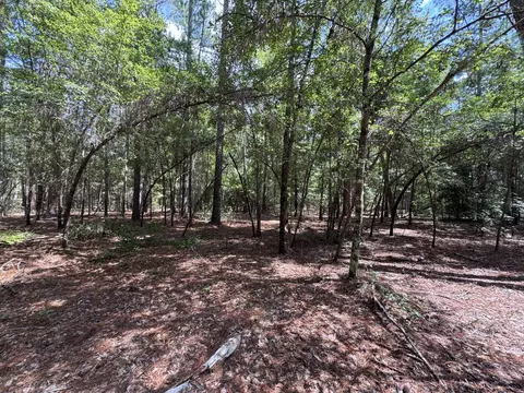 5 Tinker Creek Rd # B, Williston, SC 29853 photo 4