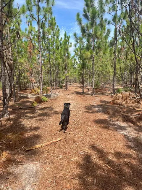 6 Payne Pond Road #PPF 6, Kershaw, SC 29067