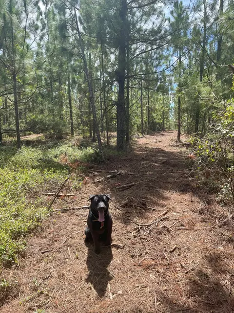 9 Payne Pond Road #PPF 9, Kershaw, SC 29067