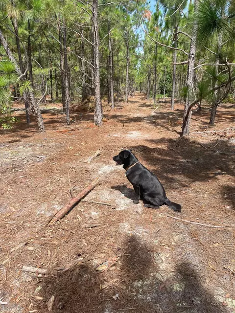 10 Payne Pond Road #PPF 10, Kershaw, SC 29067