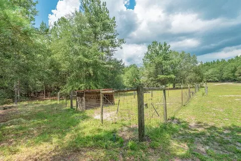 203 Sc Hwy 3, Barnwell, SC 29812 photo 56
