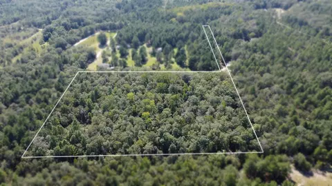 tbd Bubba Gunter Rd, Wagener, SC 29164