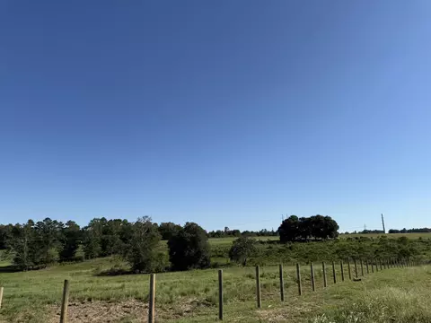 05 Shaws Fork Rd, Aiken, SC 29805 photo 3