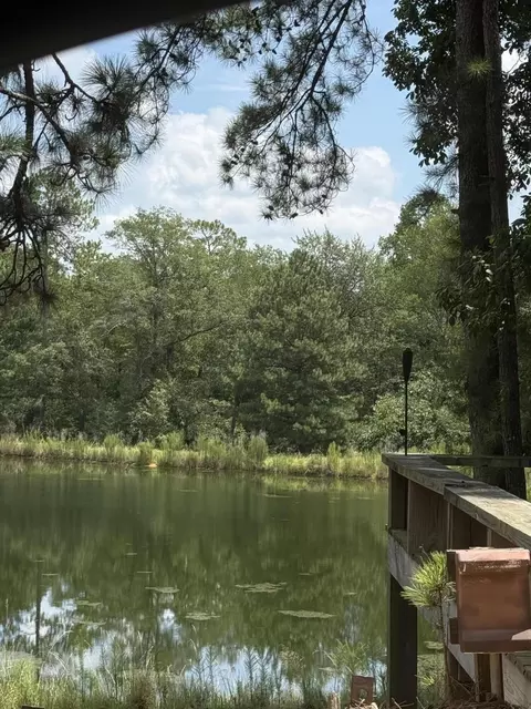 05 Shaws Fork Rd, Aiken, SC 29805 photo 4