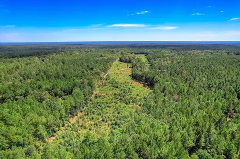 0 Gilchrist Rd, Edgefield, SC 29824 photo 19