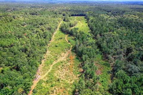 0 Gilchrist Rd, Edgefield, SC 29824 photo 15