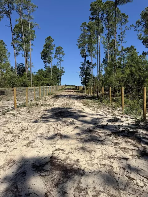 06 Shaws Fork Rd, Aiken, SC 29805 photo 7