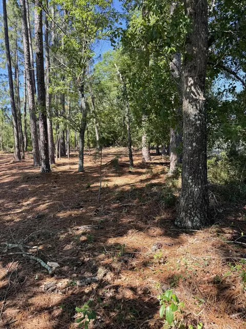 06 Shaws Fork Rd, Aiken, SC 29805 photo 6
