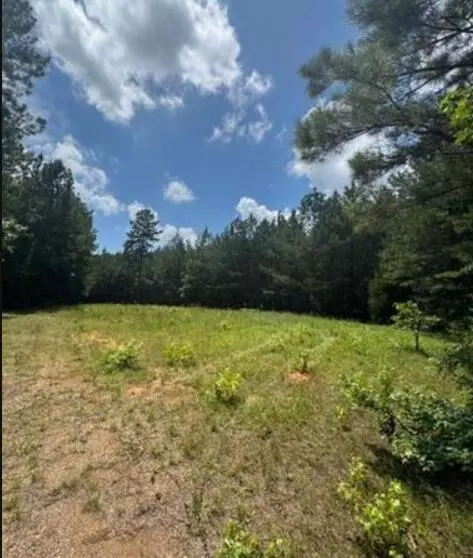 lot N4 Old Edgefield Rd, Ninety Six, SC 29666