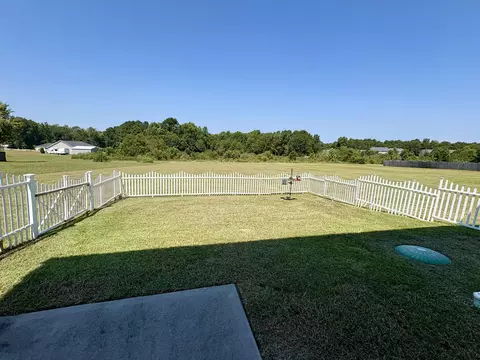 146 Switch Grass Dr, Leesville, SC 29070 photo 30