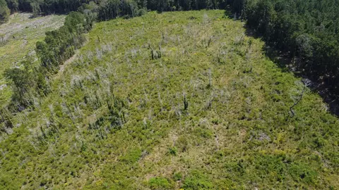 tbd Ltr Rd, Vance, SC 29163 photo 6