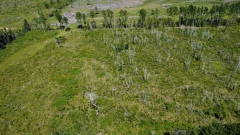 tbd Ltr Rd, Vance, SC 29163 photo 7