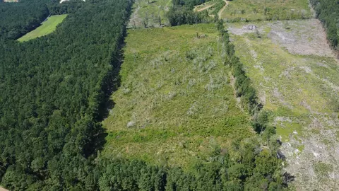 tbd Ltr Rd, Vance, SC 29163 photo 9