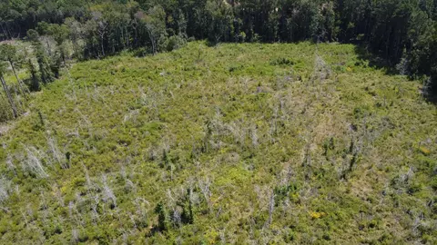 tbd Ltr Rd, Vance, SC 29163 photo 8